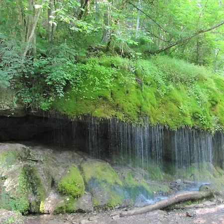 Roetenbacher Wiesen Daire