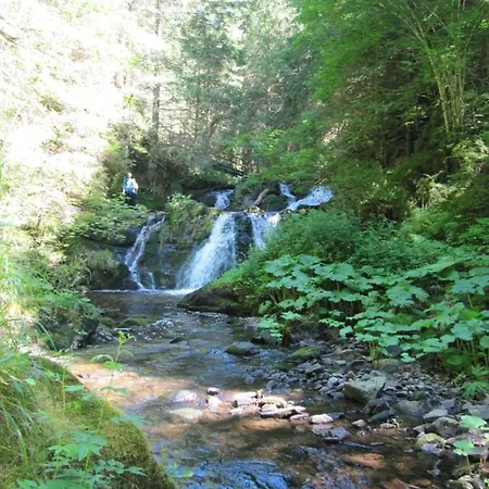 Roetenbacher Wiesen * Friedenweiler
